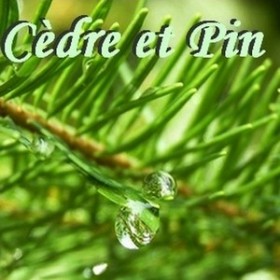Cèdre et Pin
