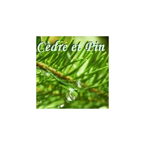 Cèdre et Pin