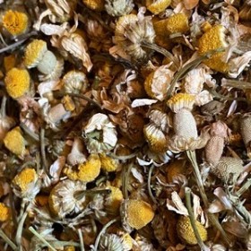 Fleur de camomille