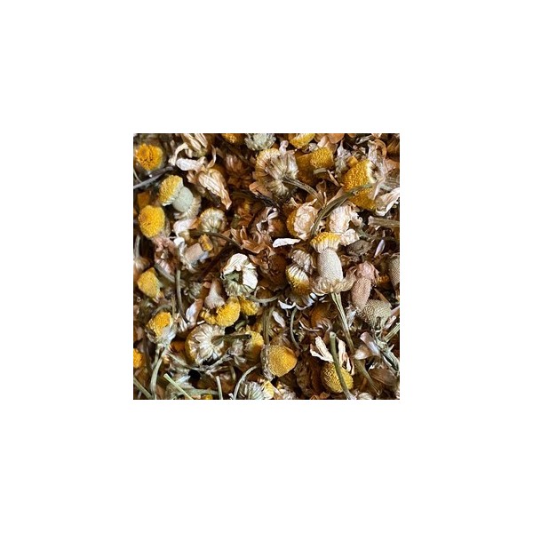Fleur de camomille
