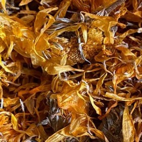 Fleur de soucis (Calendula)