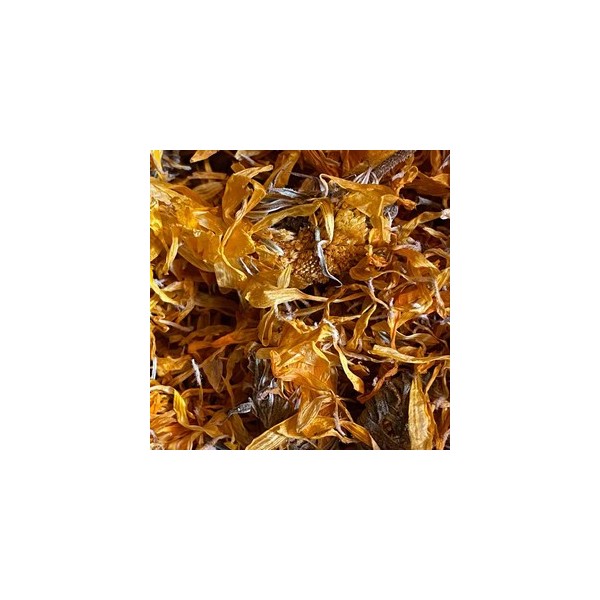 Fleur de soucis (Calendula)