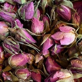 Bouton de rose