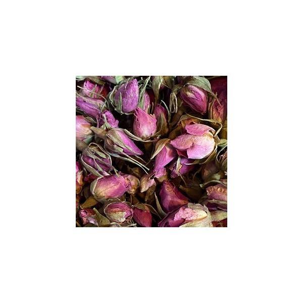 Bouton de rose