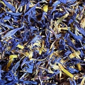 Fleurs de bleuet