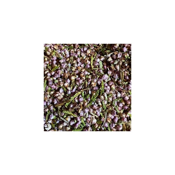 Fleurs de bruyère