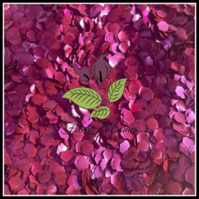 Glitters Magenta
