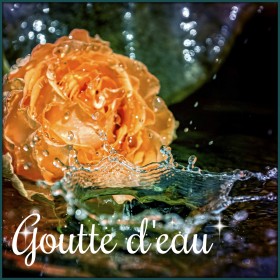 Goutte d'eau