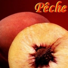 Pêche