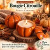 Bougie Citrouille