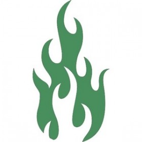 Colorant en cire: Chlorophylle 10gr