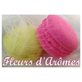 Poudre de résine