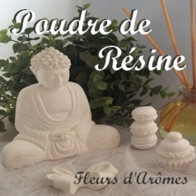 Poudre de résine