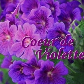 Cœur de Violette