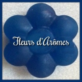 Colorant liquide: Bleu foncé