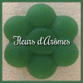 Colorant liquide: Vert menthe