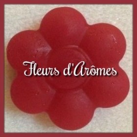 Colorant liquide: Rouge
