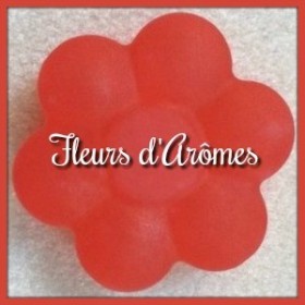 Colorant liquide: Rouge cerise