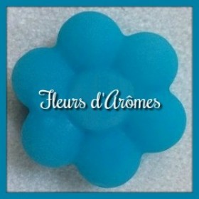 Colorant liquide: Turquoise