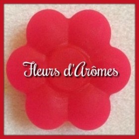 Colorant liquide: Rose Fluorescent