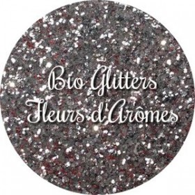 Bio Glitters Argent 008