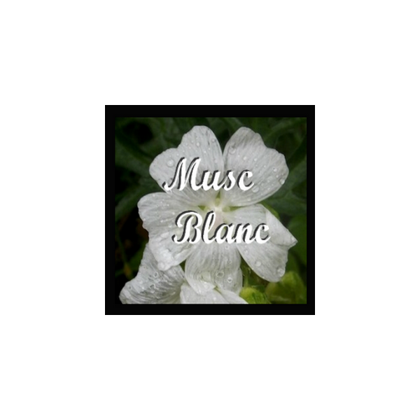 Musc Blanc