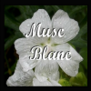 Musc Blanc