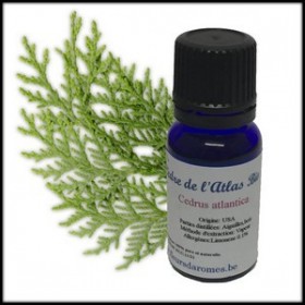 Huile essentielle de Cèdre de l'atlas Bio