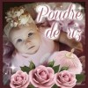 Poudre de riz