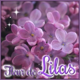 Fleur de lilas