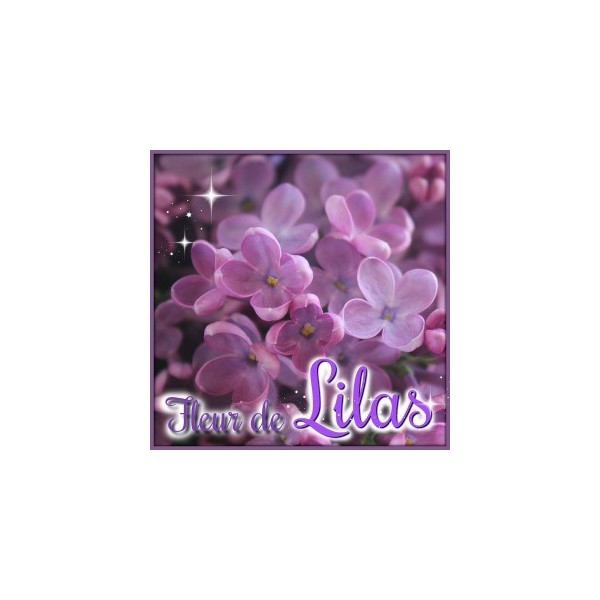 Fleur de lilas