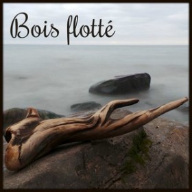 Bois flotté