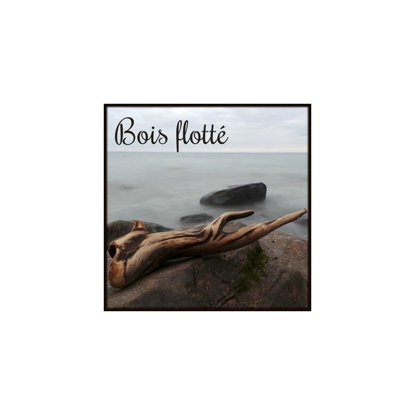 Bois flotté