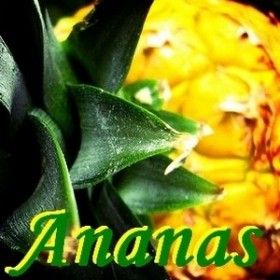 Ananas
