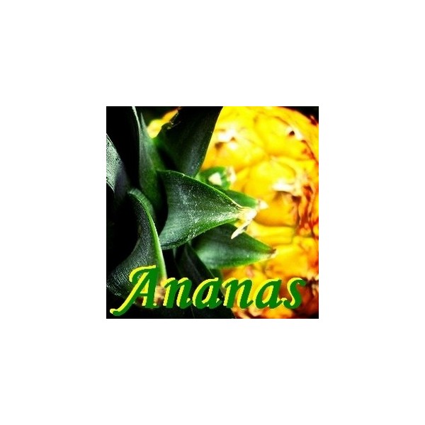 Ananas