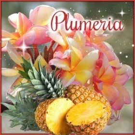 Plumeria