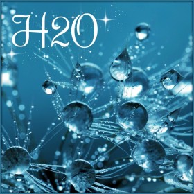 H2O