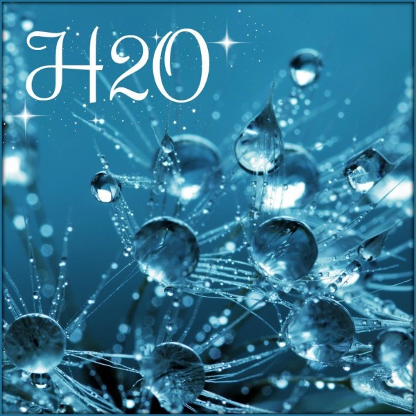 H2O 250ml précommande