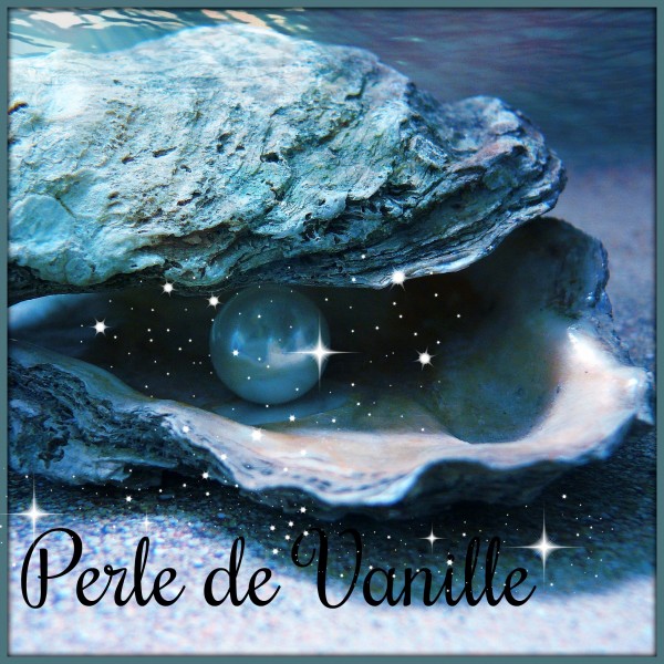 Perle de vanille