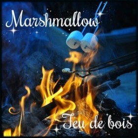 Marshmallow feu de bois